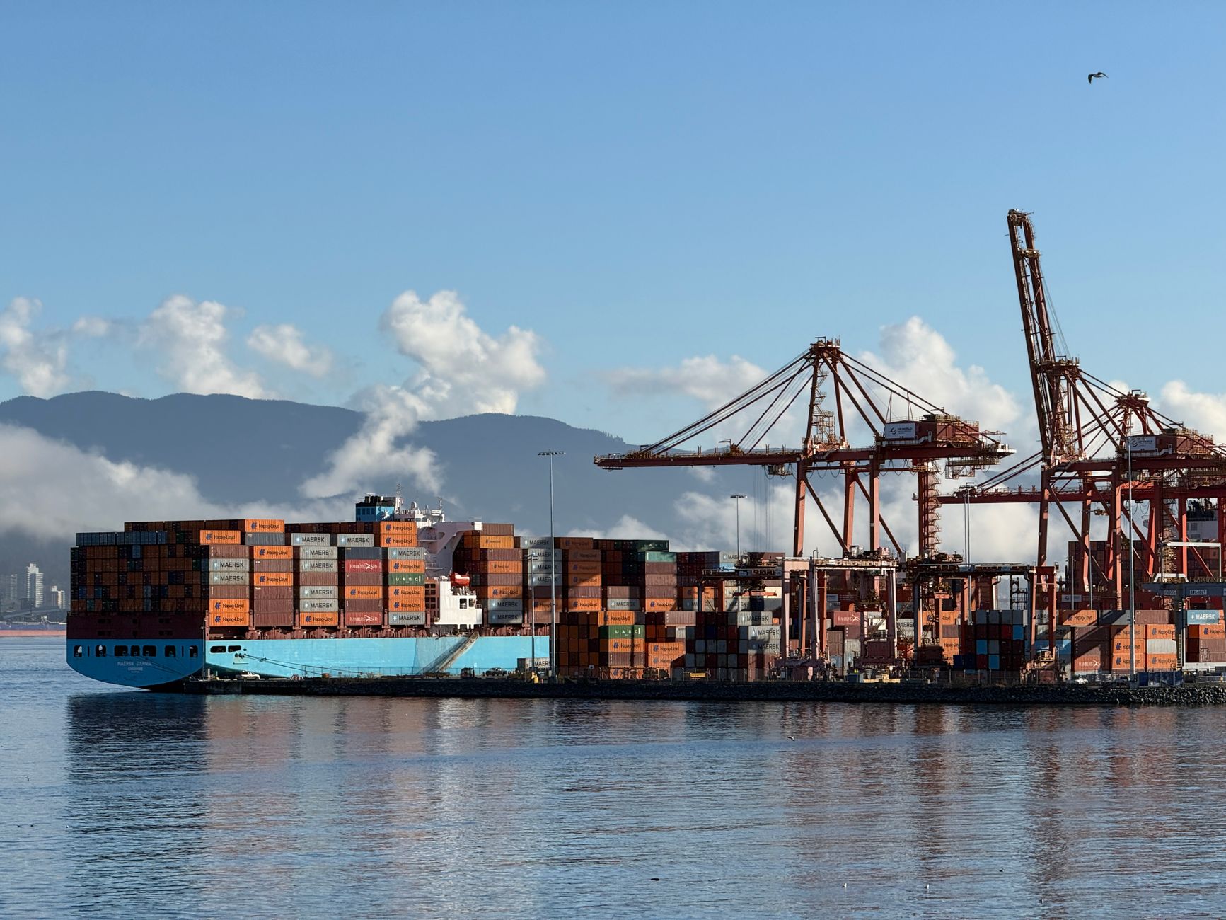 Ocean Freight Rates Face New Challenges Amid Stabilization